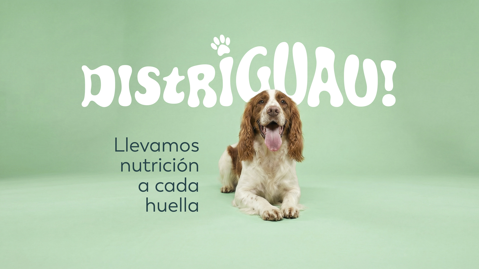 Distriguau — Llevamos nutrición a cada huella