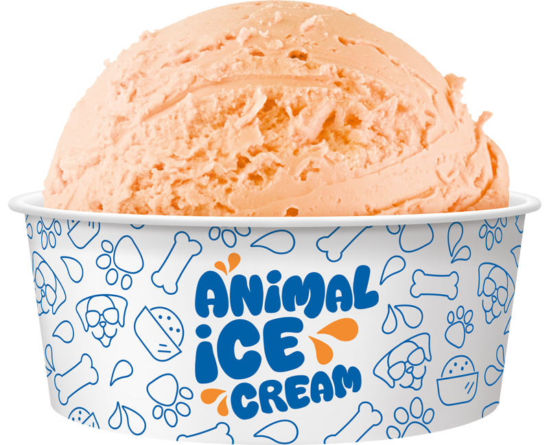 Animal Ice Cream